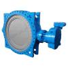 Worm actuated valve-eccentric flanged butterfly type
