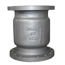 Carbon steel spring loaded vertical type flange check valve