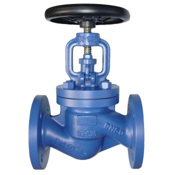 Cast iron flange globe valve