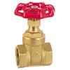 screw ended brass globe valve