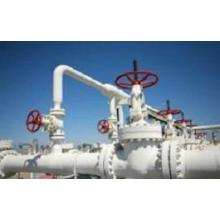 Analyses on Development Factors of the Chinese Valve Industry