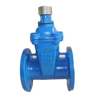 Special wrench lock gate valve