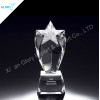 Noble Custom Crystal Star Award