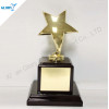 Star Shape Corporate Award Trophies