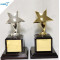 Star Shape Corporate Award Trophies