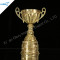 Beautifully Golden Metal Cups and Trophies