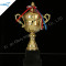 Colorful Silver Golden Trophy Cup Award In China