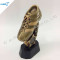 Resin Football Shoe Trophy With Star