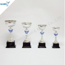 Quality Cup Theme Silver Trophies and Awards