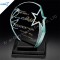 Elegantly Crystal Star Trophies and Awards