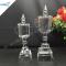 Elegant Beautiful Crystal Trophy Cup for Award Show