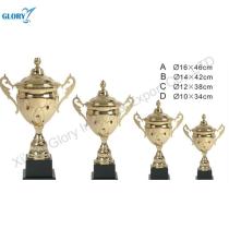 Quality Golden Perpetual Metal Student Trophy Cup in China