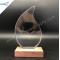 Flame shape clear glass awards with wooden base