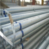 tensile strength 32 mm hot dipped galvanized seamless carbon steel pipe