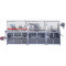 DPP-250FI Blister packing machine(Alu-PVC-Alu)