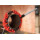 Reed Portable 6 Inch Cast Iron Pipe Cutter Hongli Pipe Cutting Machine Tool Tubing Cutter (H6S)