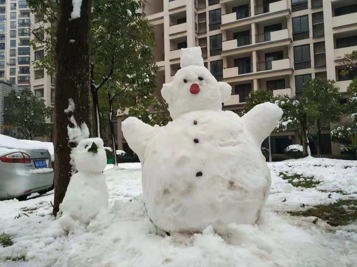 The First Snow in Hangzhou in 2018