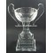 nice design crystal cup,unique crystal trophy cup