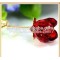 crystal rose flower romantic crystal rose gift wedding For Guests Giveaway
