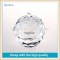 Wholesale High Quality crystal/glass apple paperweight for wedding souvenir gift