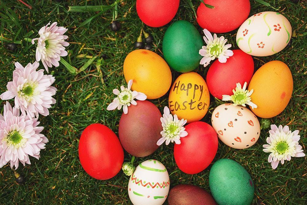 Happy Easter from everyone at YZS
