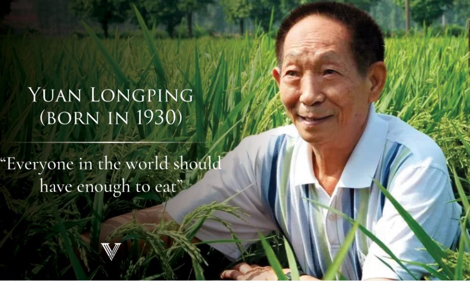 China tearfully bids farewell to 'father of hybrid rice' scientist Yuan Longping