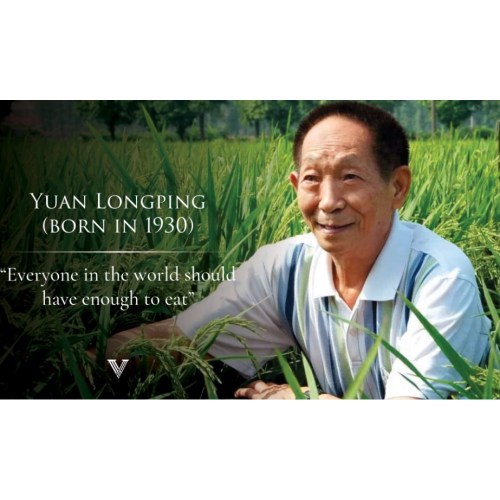 China tearfully bids farewell to 'father of hybrid rice' scientist Yuan Longping