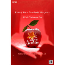 Wishing everyone a Merry Christmas Eve and Christmas in 2024!