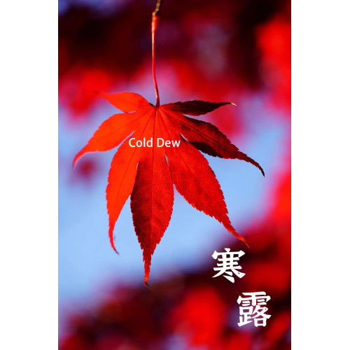 Cold Dew Brings Our Warm Wishes, Ever-Upright Service