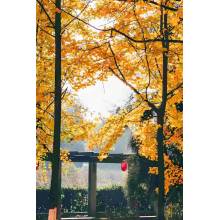 Frost's Descent is here!