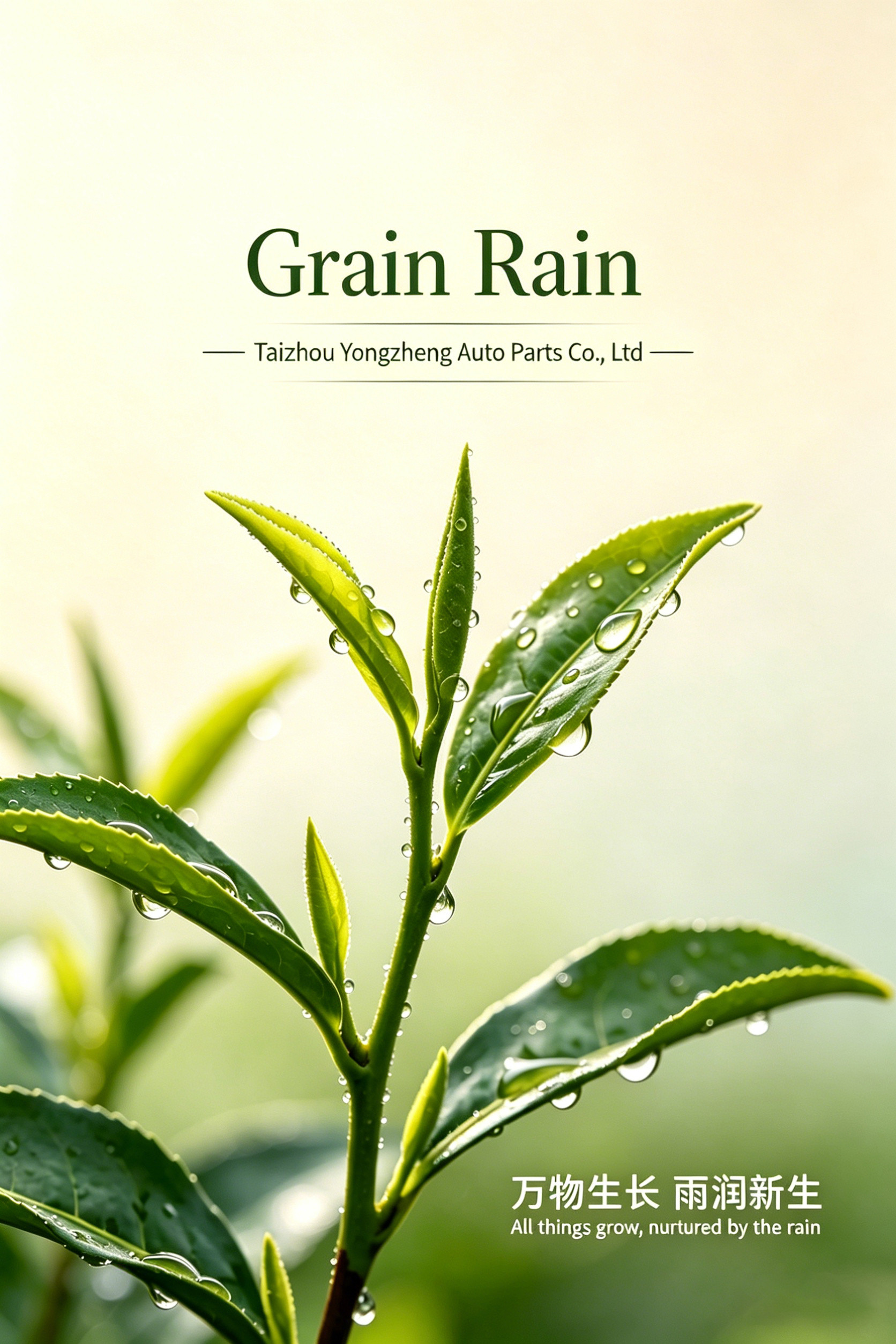 Spring rain nourishes all things to thrive