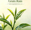 Spring rain nourishes all things to thrive