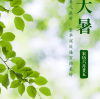 What is Dashu (Major Heat)?