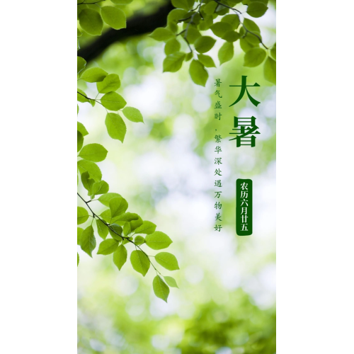What is Dashu (Major Heat)?