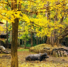 Tips for the Upcoming Autumn: Lifestyle Adjustments