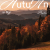 Embrace the Autumn Drive with Yongzheng Auto Parts
