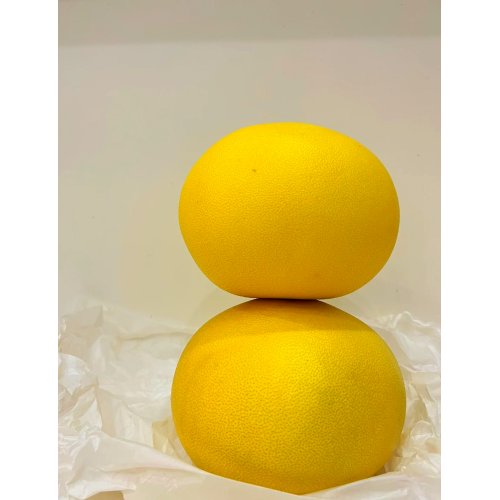 Introduction to Yuhuan Wendan Pomelo