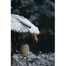 YZS · Warm Companionship