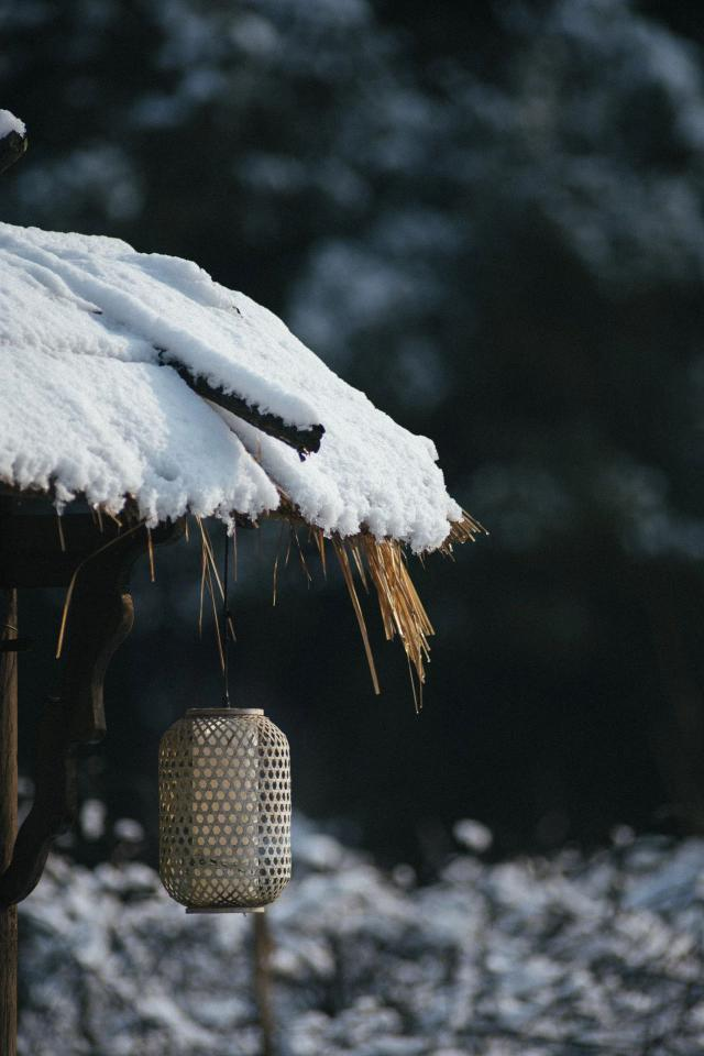 Yongzheng · Warm Companionship