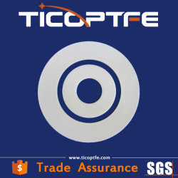 ptfe gasket
