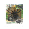 Tricky plastic simulation spider rc toy