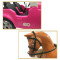 Decorative horse toy and car trailer for kids