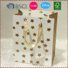 Gold Star Paper Gift Bags