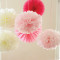 5pcs 25cm Tissue Paper Pom Poms Flower Balls