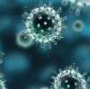 Coronavirus explained: What you need to know