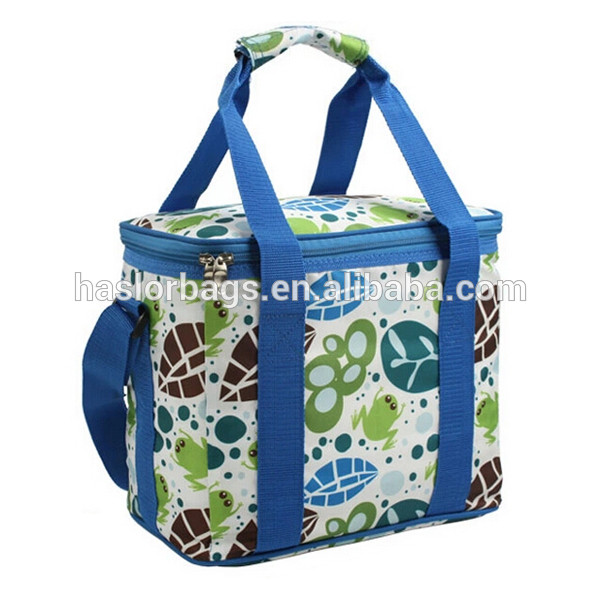 Portable thermal whole foods lunch bag