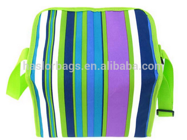 Factory Hot Selling Cheap Price Picnic Insulated Cooler Bag For Frozen Food