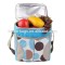 Cheap fashion lunch cooler bag with drink holder