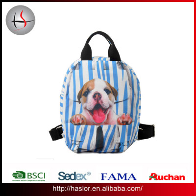 2016 papular fashion promotional canvas backpack