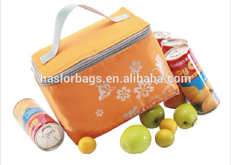 Insulated lunch cooler bag for frozen food